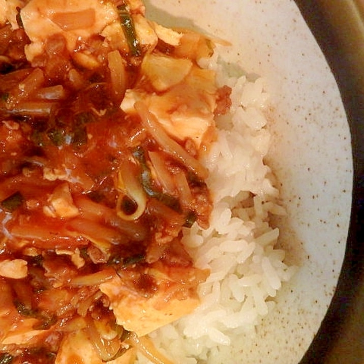 ハンバーグ風味の豆腐もやし丼